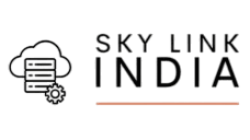 skylink-india-logo