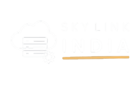 skylink-india